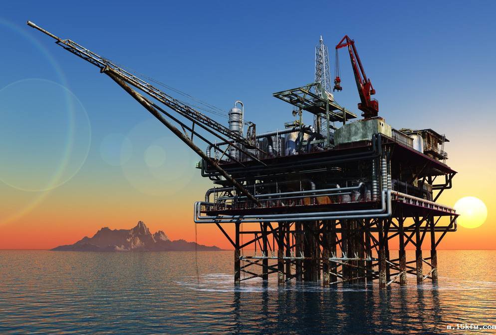 港口机械/海事平台滑环